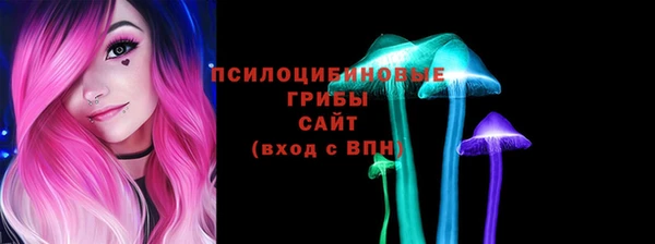 бошки Кулебаки