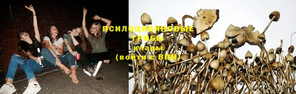 не бодяженный Куйбышев