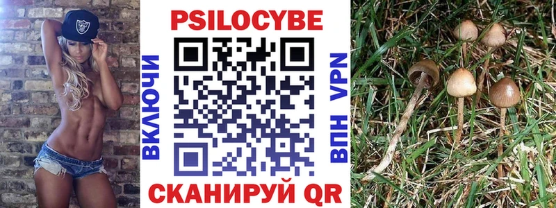 Купить где  Алупка  Псилоцибиновые грибы Psilocybine cubensis 